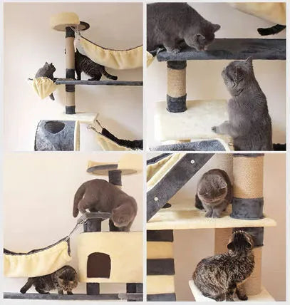 &#10084;️The Best Gift For Your Cats