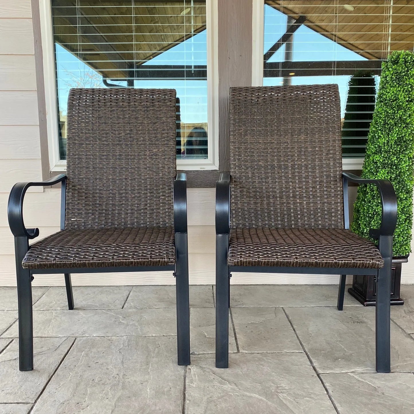 Rattan Metal Patio Dining Chairs, Set of 2