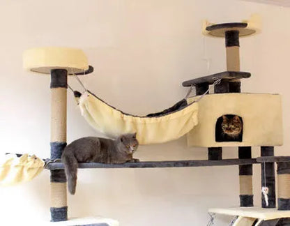 &#10084;️The Best Gift For Your Cats