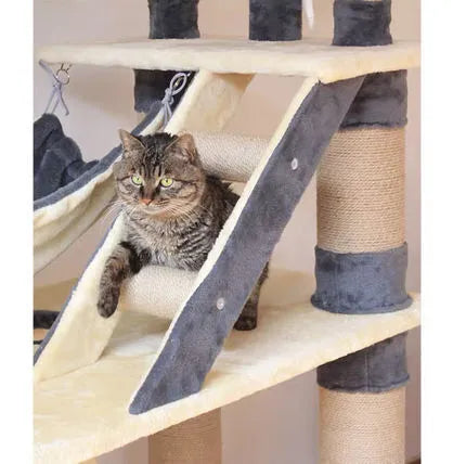 &#10084;️The Best Gift For Your Cats