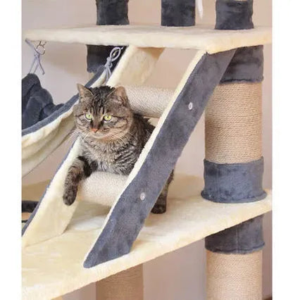 &#10084;️The Best Gift For Your Cats