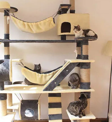 &#10084;️The Best Gift For Your Cats