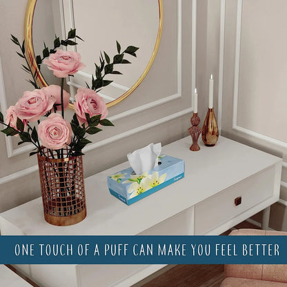 Soft Facial Tissues 2 Ply Box Of 130 Pack of 6 (780 Facial Tissues Toatal) Family Pack (6) Design may Vary